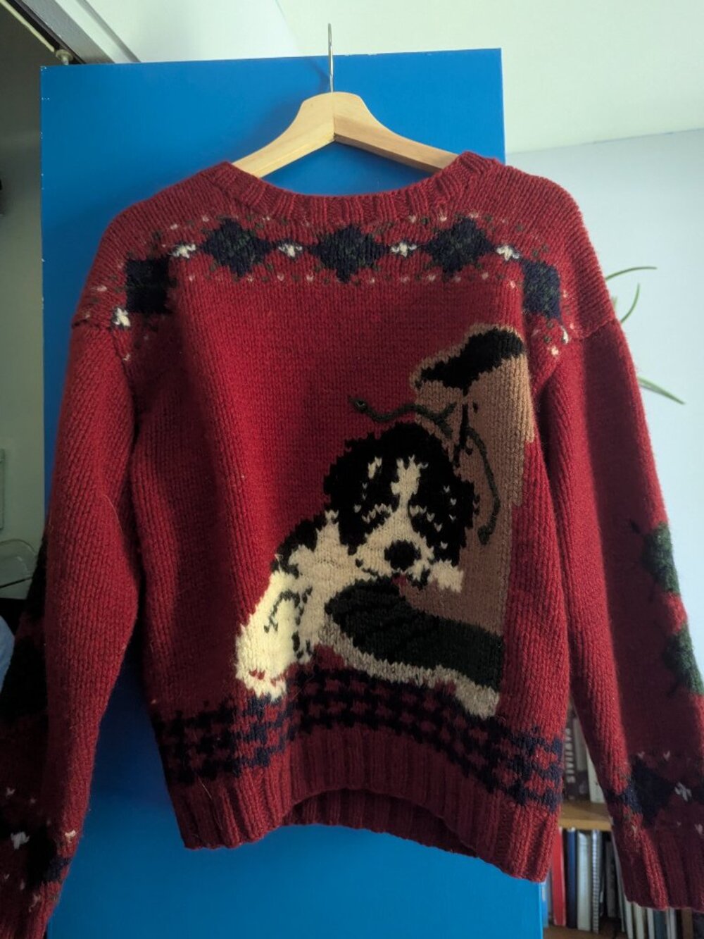 Knitted Sweater with dog and boot